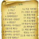 드림피드(주) 이미지