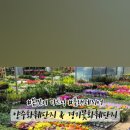 경기꽃화훼 이미지