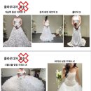 클라우디아 웨딩컴퍼니 촬영가봉 후기 및 꿀팁(주차, 시안, 지정혜택, 준비물, 피팅 시간 등)