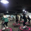 퓨어트다이어트 캠프 이미지