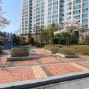 모아비발디공인중개사사무소 이미지