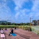 소매틱워킹 이미지