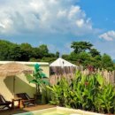 풍월주인 이미지