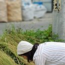 미연전통음식연구소