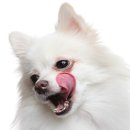 낼름