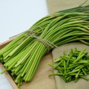 플라워호텔 이미지