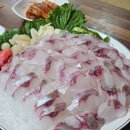 이모네실내마차 네이버블로그