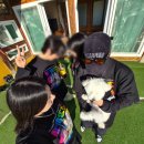 금당길 | 인천근교 제부도 경기도 화성 애견펜션 댕댕옥 🐕‍🦺 내돈내산후기 (feat. 술김이최고 &amp; 찹쌀)