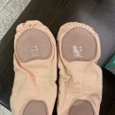 소단사 천슈즈 볼넓은 240 구매후기 (평소 235신음) : 이발레샵 예술의전당점
