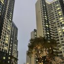 과천푸르지오써밋 경로당 | [과천푸르지오써밋] 밤에 직접 걸어본 후기