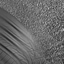 타이어프로 광주 서구점 이미지