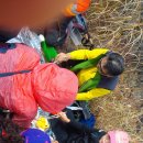 충냐