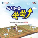 독서논술 이미지