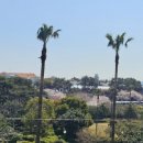 제주산방식당중문점 이미지