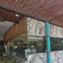 다라house | 세부 레촌 맛집 하우스 오브 레촌 내돈내산 후기