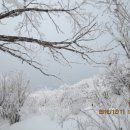 노고단-11 이미지