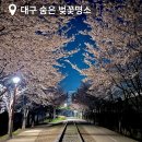 방촌주유소 | 대구 벚꽃명소, 나만 알고싶은 덜 유명한 장소