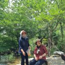 후기/951회 토요걷기(7/11)관악산산림욕장~둘레길~관양계곡~서울대수목원 다녀왔습니다(데빌님사진이 포함되어 있습니다) 이미지