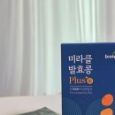 미라클플러스 | 거부감 없는 청국장환 '바이올렘 미라클 발효콩 플러스 환' 후기 🫘✨