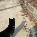 (주)위드어스인 이미지