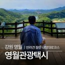 GR(영월군)-[영월로]-상-33 | [강원/영월] 영월관광택시 '내맘대로코스'로 반려견과 함께 다녀온 감성 가득 영월여행(긴글주의)