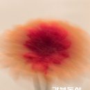 갑부공인중개사사무소 이미지