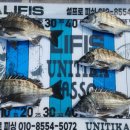 민양길 네이버블로그