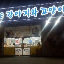 장보는강아지와고양이 이미지