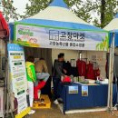 전북 고창 청보리밭 축제 주차장 일정 먹거리 체험 유채꽃