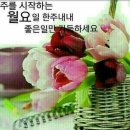 그루터기 이미지