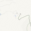 큐리애견 이미지