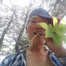 호인농장 이미지