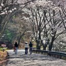 봄나들이 미술관투어 이미지