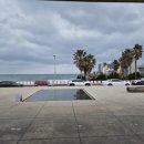 춘기행정사사무소 이미지