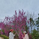동산잔디 이미지