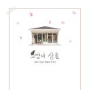 동안카페 - 안산시 단원구 원포공원1로 59 | 동안카페