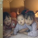 꿈꾸는어린이집 | 아이의 상상력과 마음이 자라는 공간 아기텐트 꿈꾸는 동굴 후기