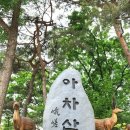 종로-연건-종로-연-352 | [수학여행프로그램] (서울, 구리, 남양주) 실학과 현대과학을 접목하는 즐거움