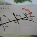 선비묵집 이미지