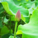 안압지농장 이미지