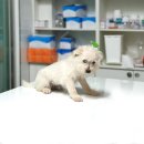 현암2길 이미지