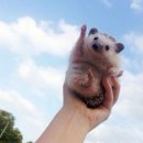 삼정자중학교 이미지