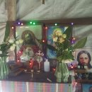 한동대학교 국제개발협력대학원 이미지