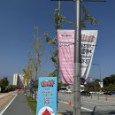 🎸🥁🎤 2024 세종보헤미안뮤직페스티벌 1일차 (얼리버드,푸드존,최유리,글랜체크,장기하)
