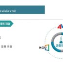 주식회사 선가 네이버블로그