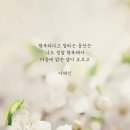 클라우드캔디 이미지