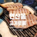연제구-126 이미지