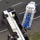 (주)모바일버스 이미지