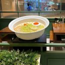 간편 혼밥 다이닝 (7월) | 수원 타임빌라스 라멘 추천, 혼밥 편한 해장 맛집 라멘세이진 내돈내산 후기