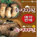 양양송이유통